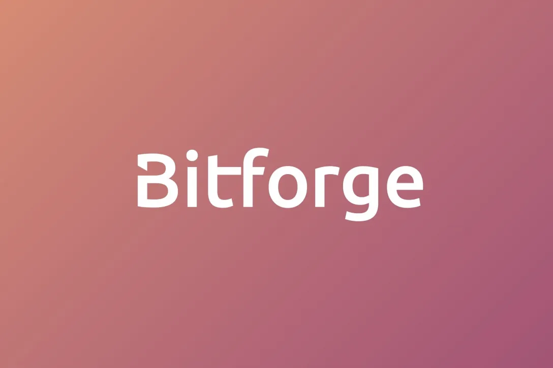 Wortmarke, Bitforge, Markenbild, Logogestaltung, Verlauf, Markenbotschaft