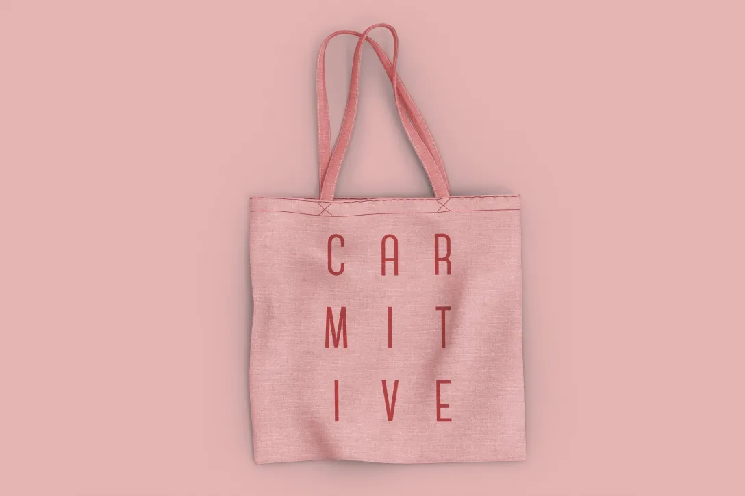 Stofftasche, Siebdruck, Volltonfarbe, Bedrucktes Exemplar, Stoffbeutel, Tote Bag