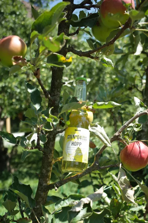 Mehrfach prämierter Craft Cider, Sorten, natürlich