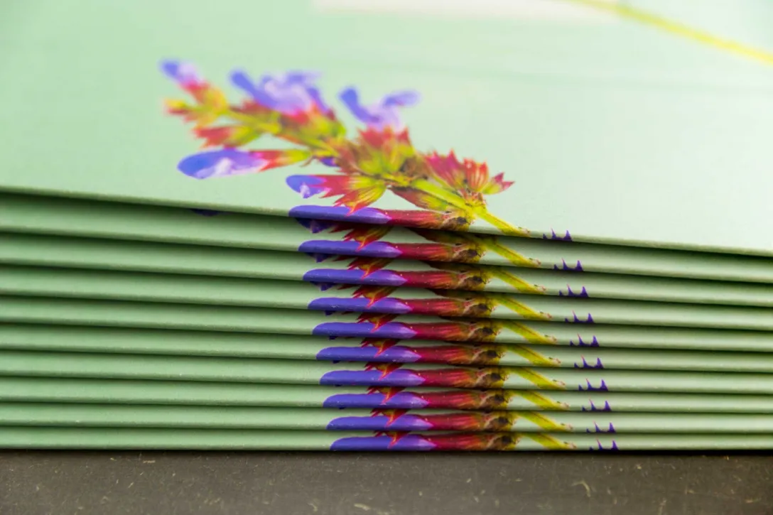 Stapel, Werk, Individuell angefertigt, Blume, Blüte, Druckverfahren